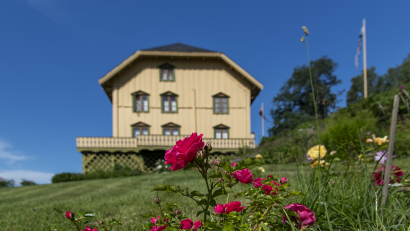 Summer at Aulestad