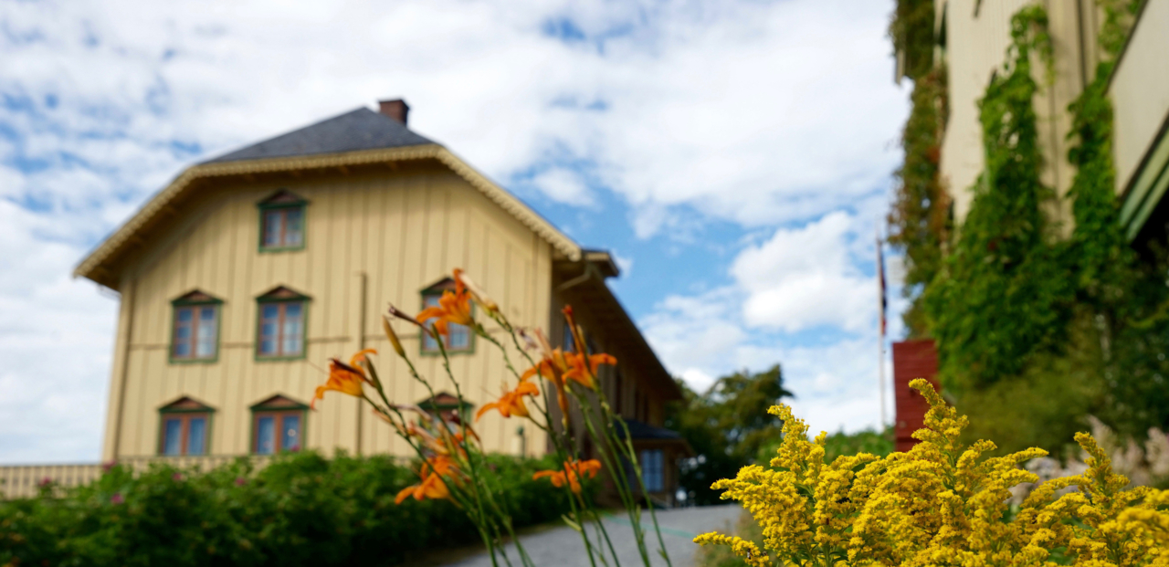 Aulestad m blomster toppbilde